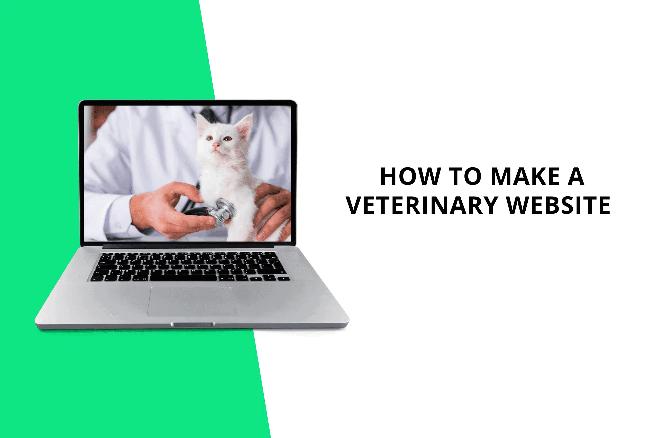 how to create a veterinary website